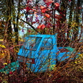 Blue Truck in Autumn