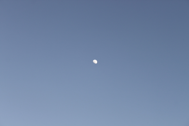 20241009104141-768d8c97.jpg
