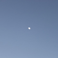 Celestial Harmony