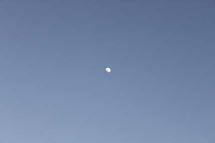 Celestial Harmony