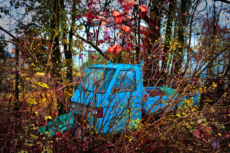 20241009115303-3a9dbd6a.jpg
