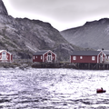 Fjord Reflections